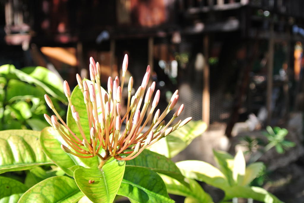 Koox City Garden Hotel Playa del Carmen Eksteriør bilde